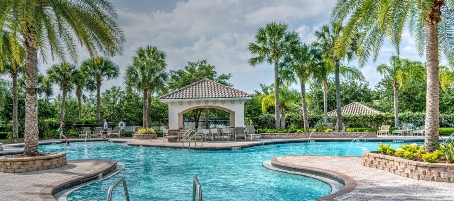 Palm Tree Planted Near Pool